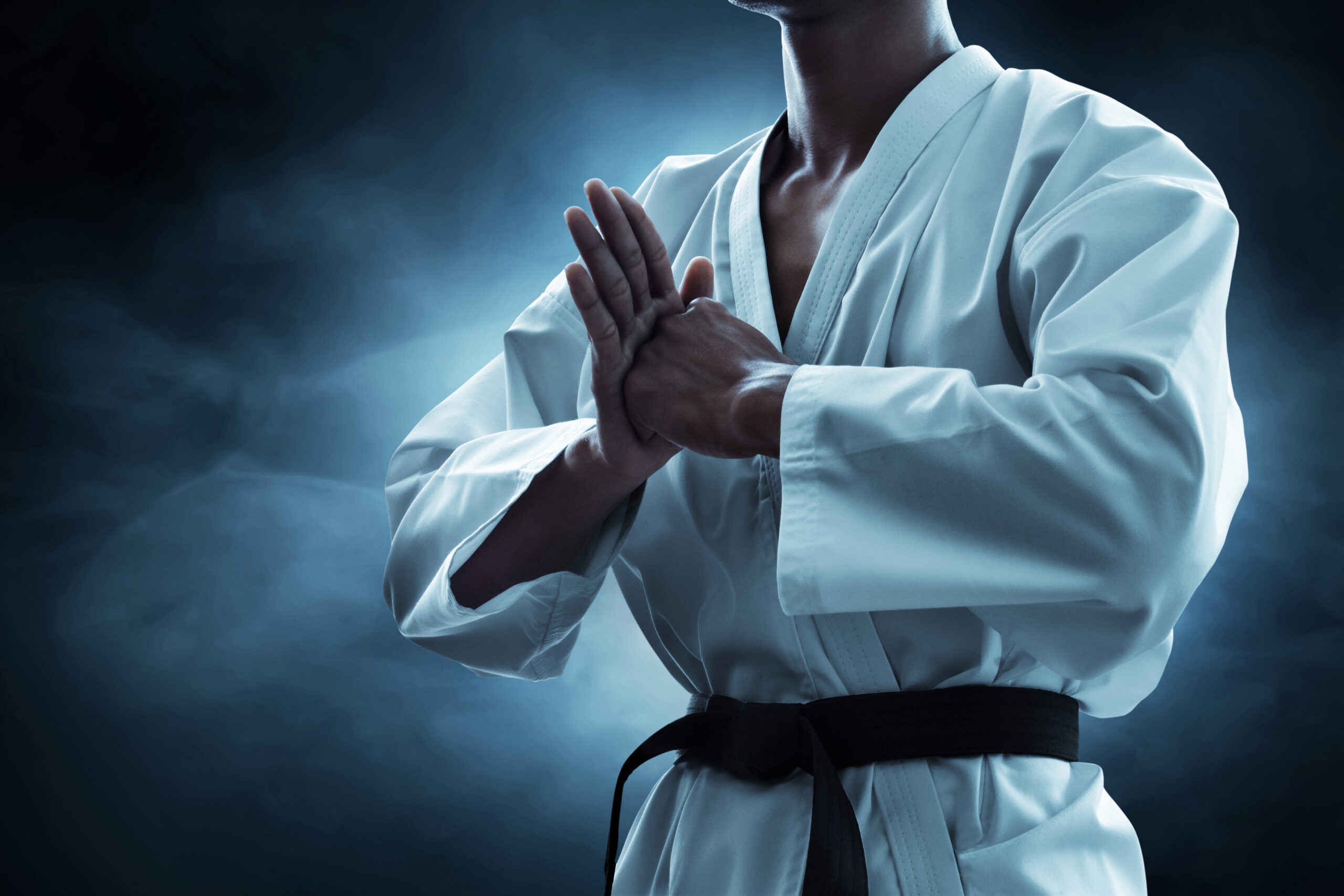 Karate martial arts fighter 